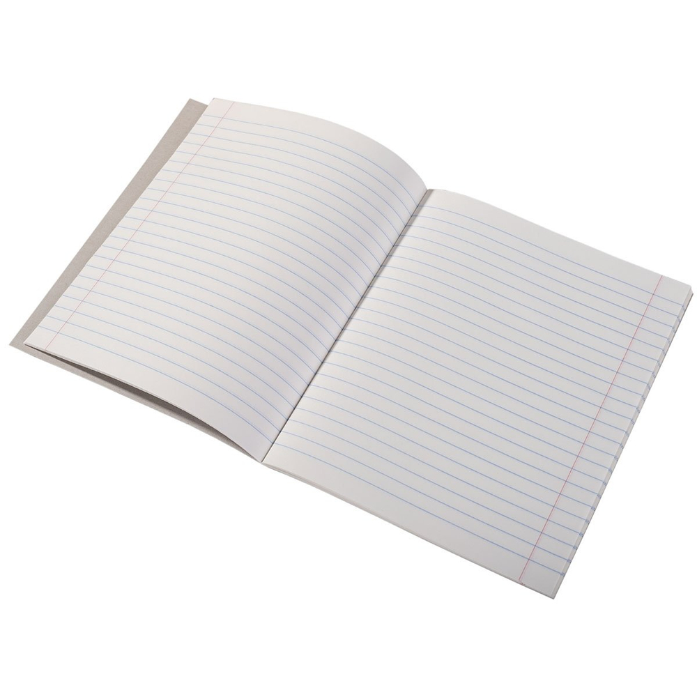 Тетрадь предметная 36л. А5 "Литература " со справочным материалом, скрепка, мелованный картон (стандарт), блок офсет, Alingar "Кеды"