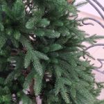 Ель искусственная «Престиж» (Литая хвоя) от 1,2 м до 3 м