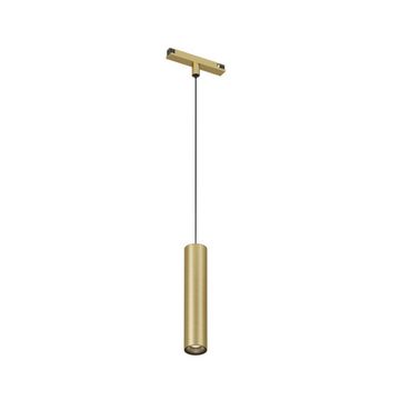 Светильник для трека LED 8W 2700-6000К DK5944-SB латунь SHINE SPOT ZigBee Denkirs