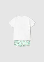 пляжная футболка с шортами