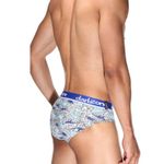 Мужские трусы брифы белые с принтом DARKZONE DZN6384