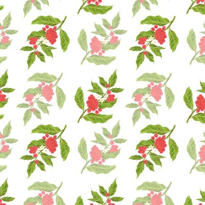 Ветка кофейных ягод