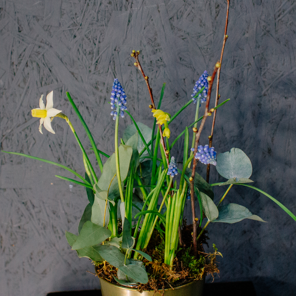 131. Весенняя романтичная композиция с луковичными мускари и нарциссами