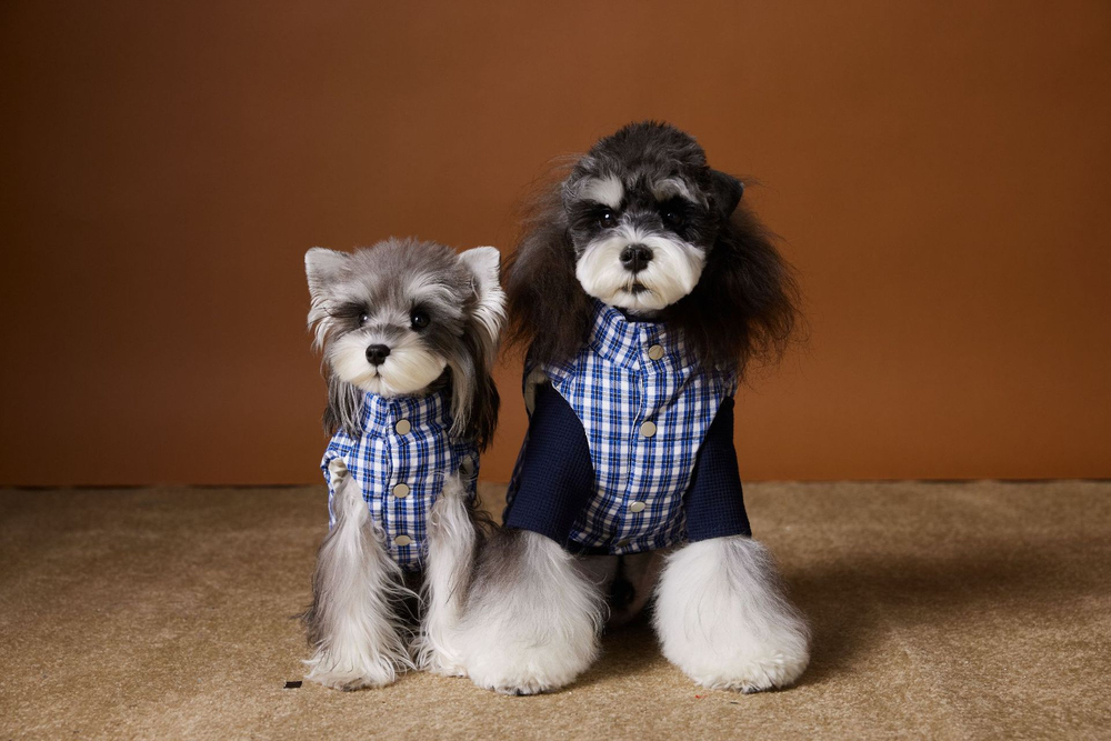 Жилетка пуховая для собак Клетка