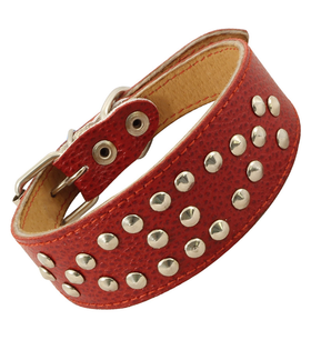 Ошейник-миди двойной с украшением кожаный «Самоцвет», 45*400мм, Gamma