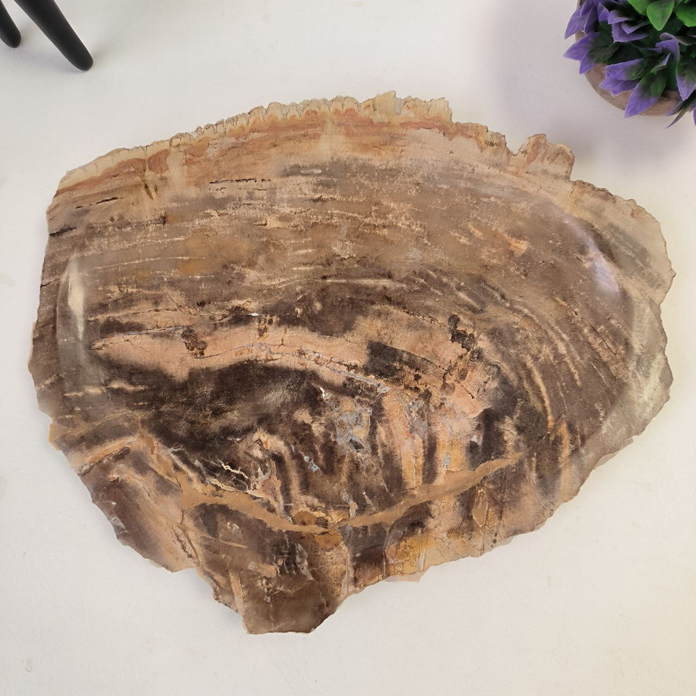 Набор из окаменелого дерева 3 предм Fossil Set NF-62865 поднос 30см*40см