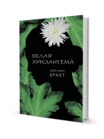 Белая хризантема