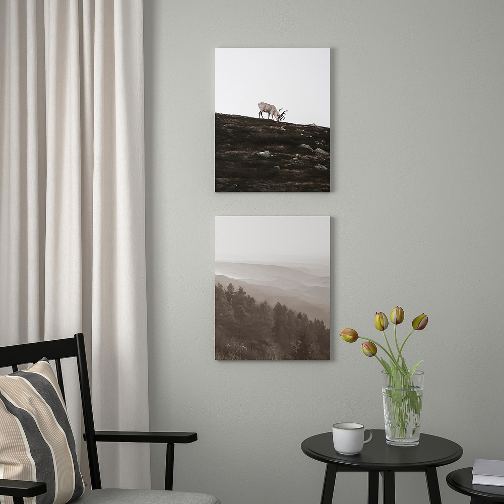 IKEA PJÄTTERYD  (ИКЕА ПЙÄТТЕРЙД)  -  Изображение, странствующий олень, 40x50 см
