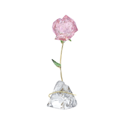 FLORERE:ROSE