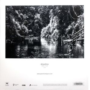 Soundtrack / Jean-Michel Jarre: Amazonia (2LP)