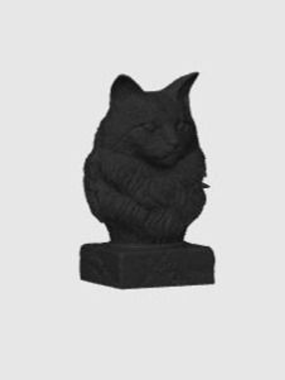 Кошка Мейн-Кун