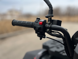 Квадроцикл PROMAX TAURUS 300 MAX-PRO LONG