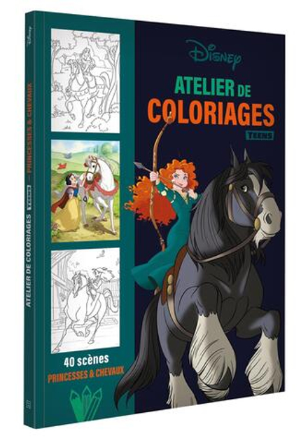 Hachette  раскраска по номерам  ATELIER DE COLORIAGES DISNEY TEENS-Princesses et chevaux