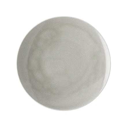 Thomas Rosenthal Group Тарелка обеденная Loft Colour 28 см лунно-серая