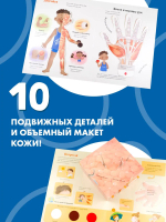 Все секреты человека