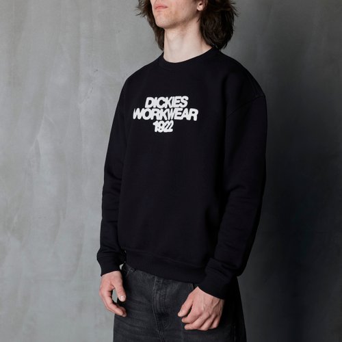 Толстовка Dickies Torrey Sweatshirt артикул:DK0A88BSBLK1 - купить в магазине Дайс