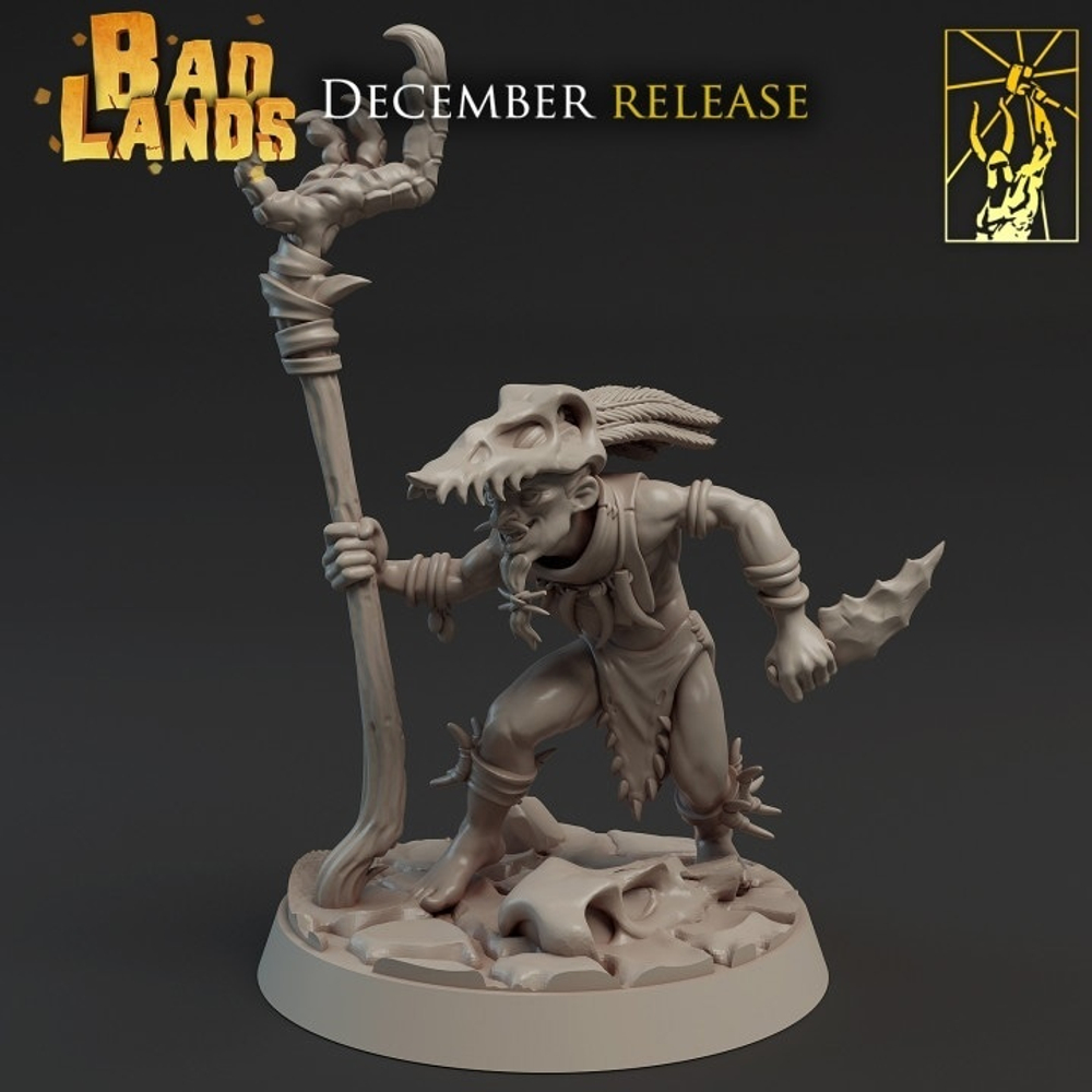Chaos Shaman