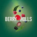 Must Have - Berry Holls (125г)
