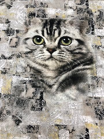 Кулирка Котик купон 78см 180г/м ш180см компакт Пенье