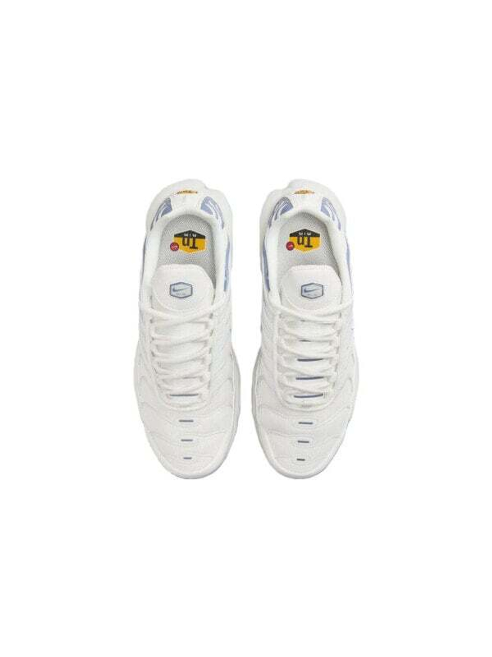 Nike Air Max Plus Ashen Slate Women's