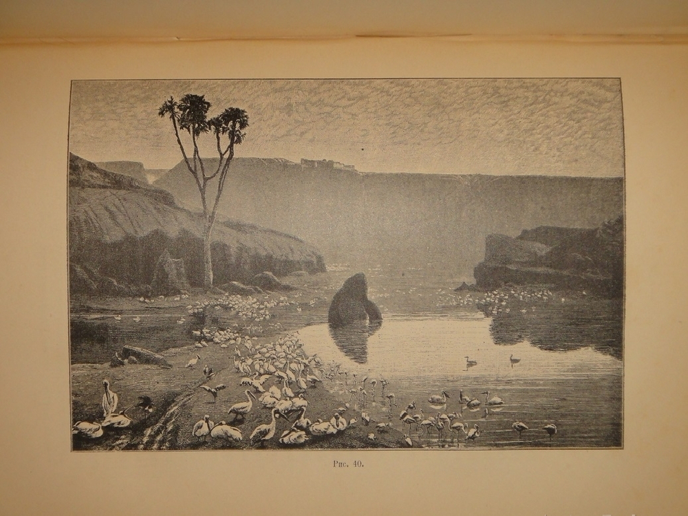 "Среди патриархов земледелия народов Ближнего и Дальнего Востока ( Египет, Индия, Цейлон, Китай и Япония ). В 3-х томах". И.Н.Клинген. 1899г.