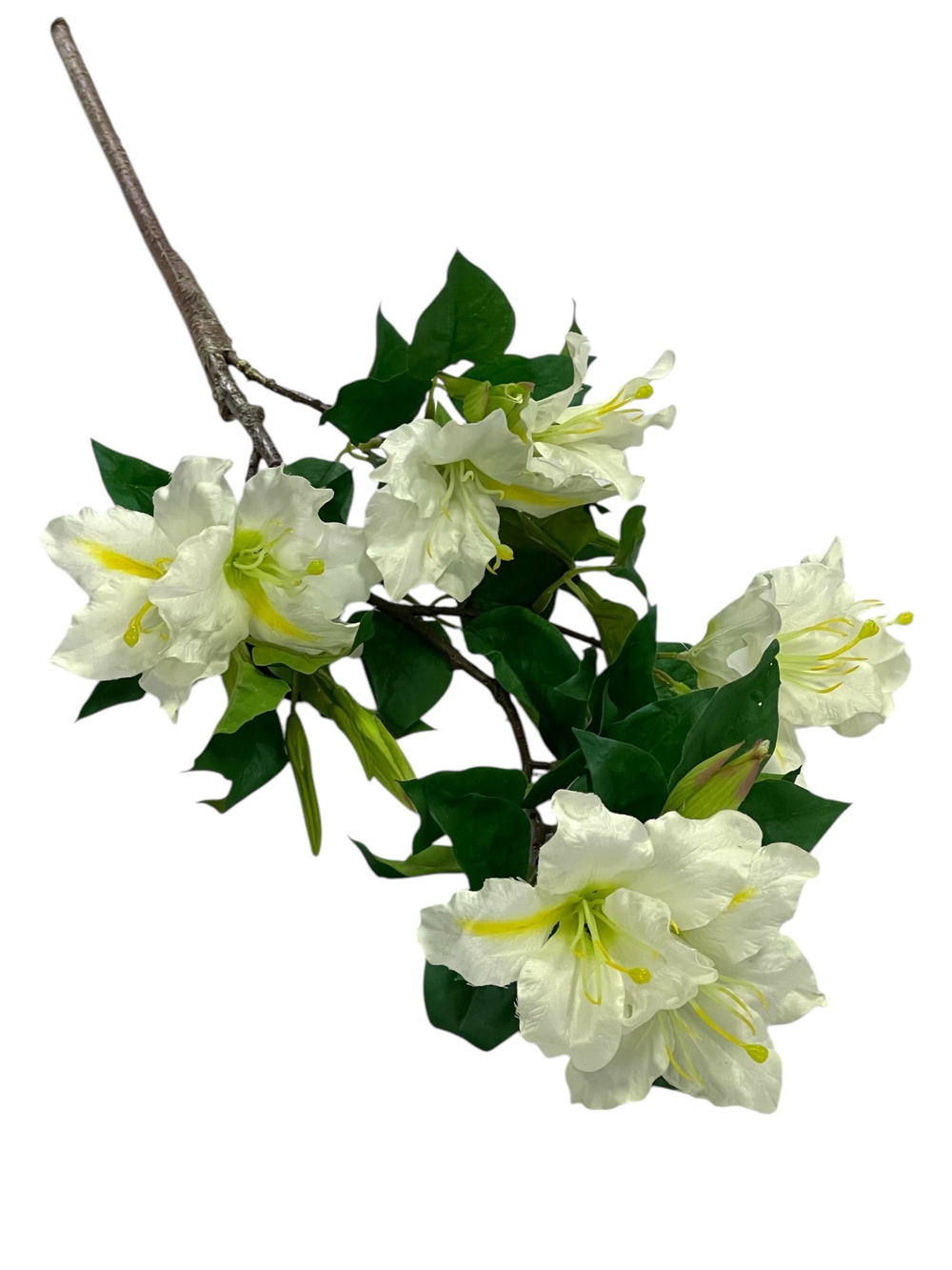 Альстромерия белая