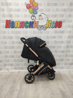 Коляска прогулочная Rant Basic Vortex Black