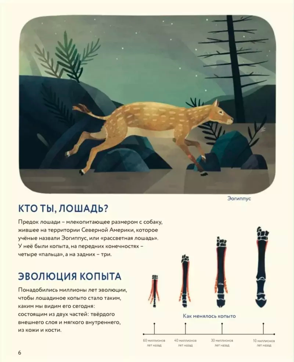 Лошади: дикие и прирученные