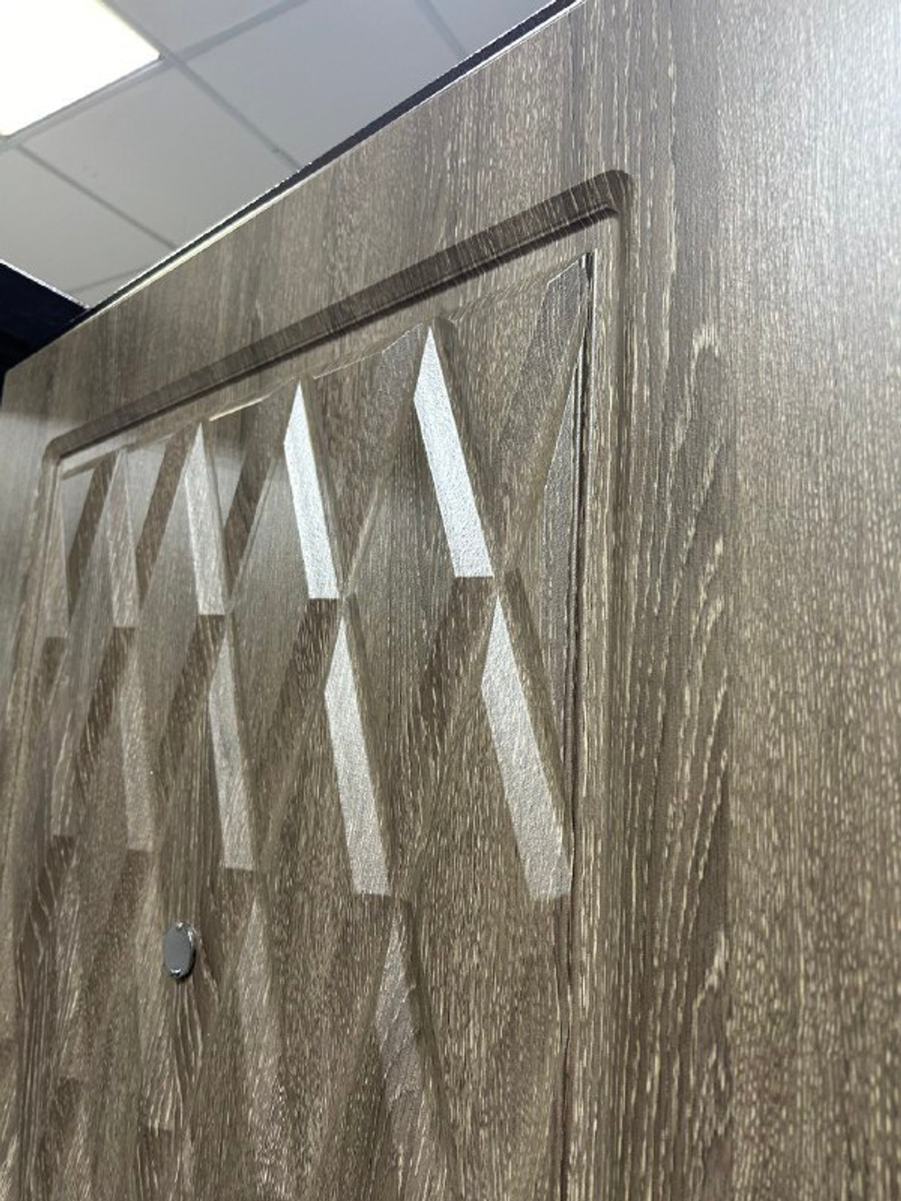 Дверь входная Лидер