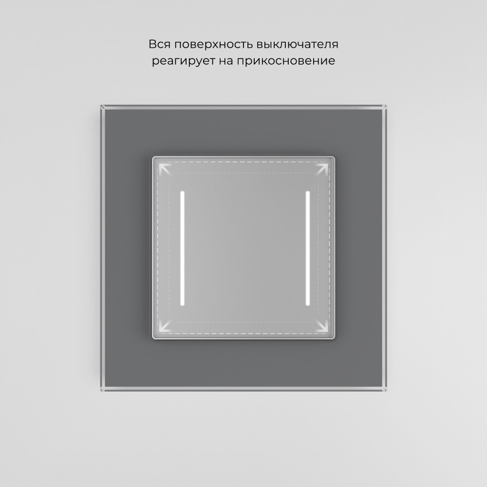 Сенсорный выключатель двухклавишный с подсветкой серебряный W4522006