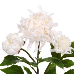 Цветок искусственный «Natur» 67см Пион белый