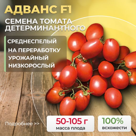 АДВАНС F1 семена томата Nunhems купить