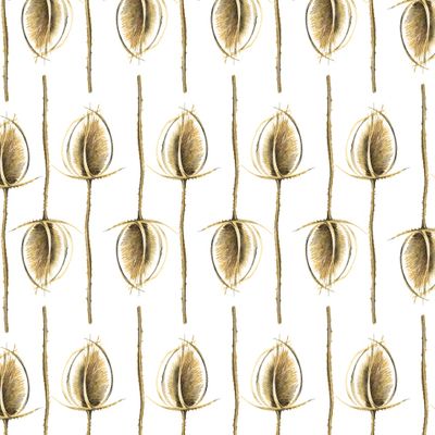 Сухие цветы с колючками