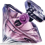 La Nuit Tresor L'Eau de Toilette
