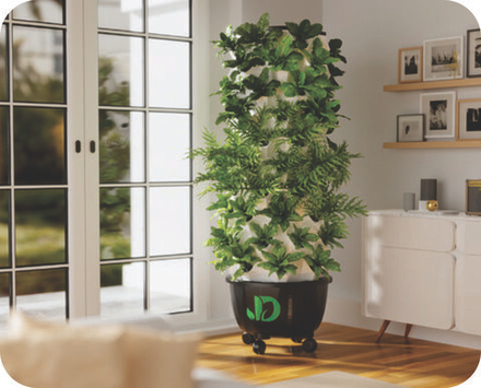 Гидропоника