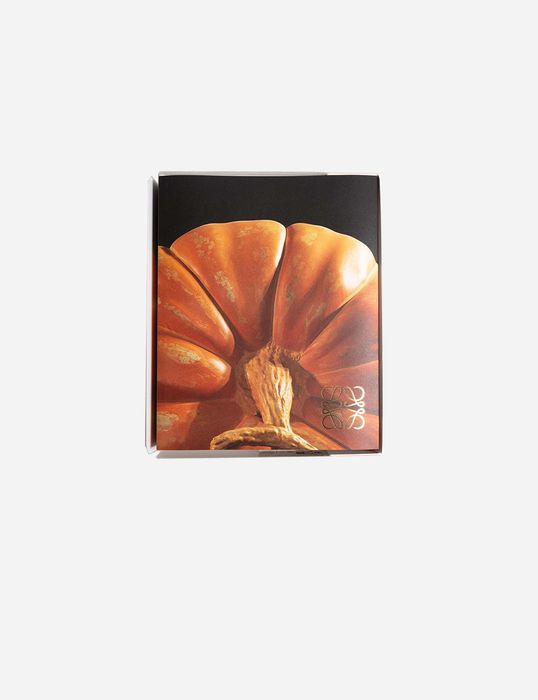 Книга JW Anderson Home 