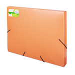 Папка на резинке Alingar, A4, 240х330х33 мм, 600 мкм, ассорти, матовая, "Flossy"