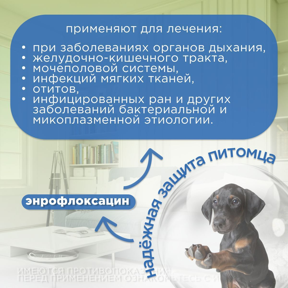 Таблетки для лечения инфекционных заболеваний у собак мелких пород и кошек со вкусом мяса Энроксил 15мг (KRKA), 10 таблеток Энрофлоксацин