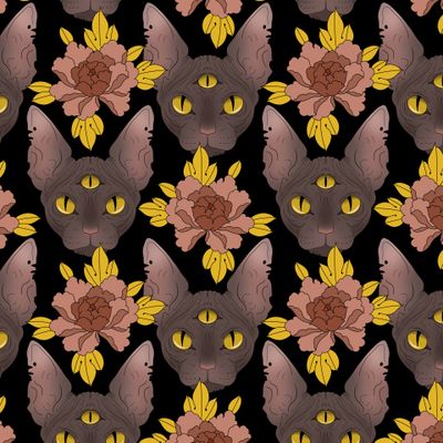 Коты сфинксы и цветы на черном фоне