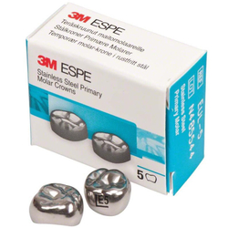 Второй верхний левый моляр, размер 5 (E-UL-5)