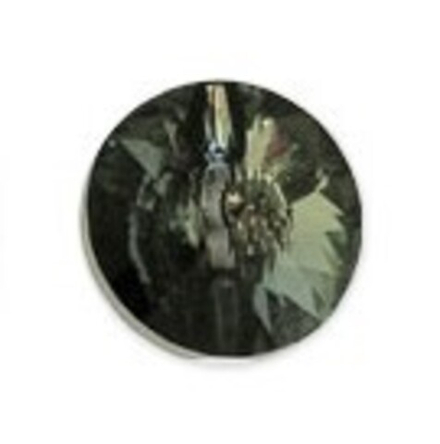 Пуговица  "Сваровски" 3015 ММ10  цветн. 16 "  10 мм сер.