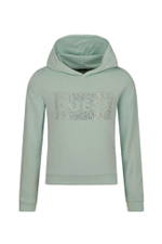 худые Guess - мятный(J2RQ05 KA6R0)