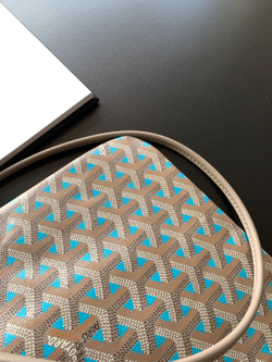 Goyard Poitiers Claire Voie Bag