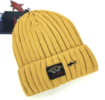 Шапка Paul & Shark