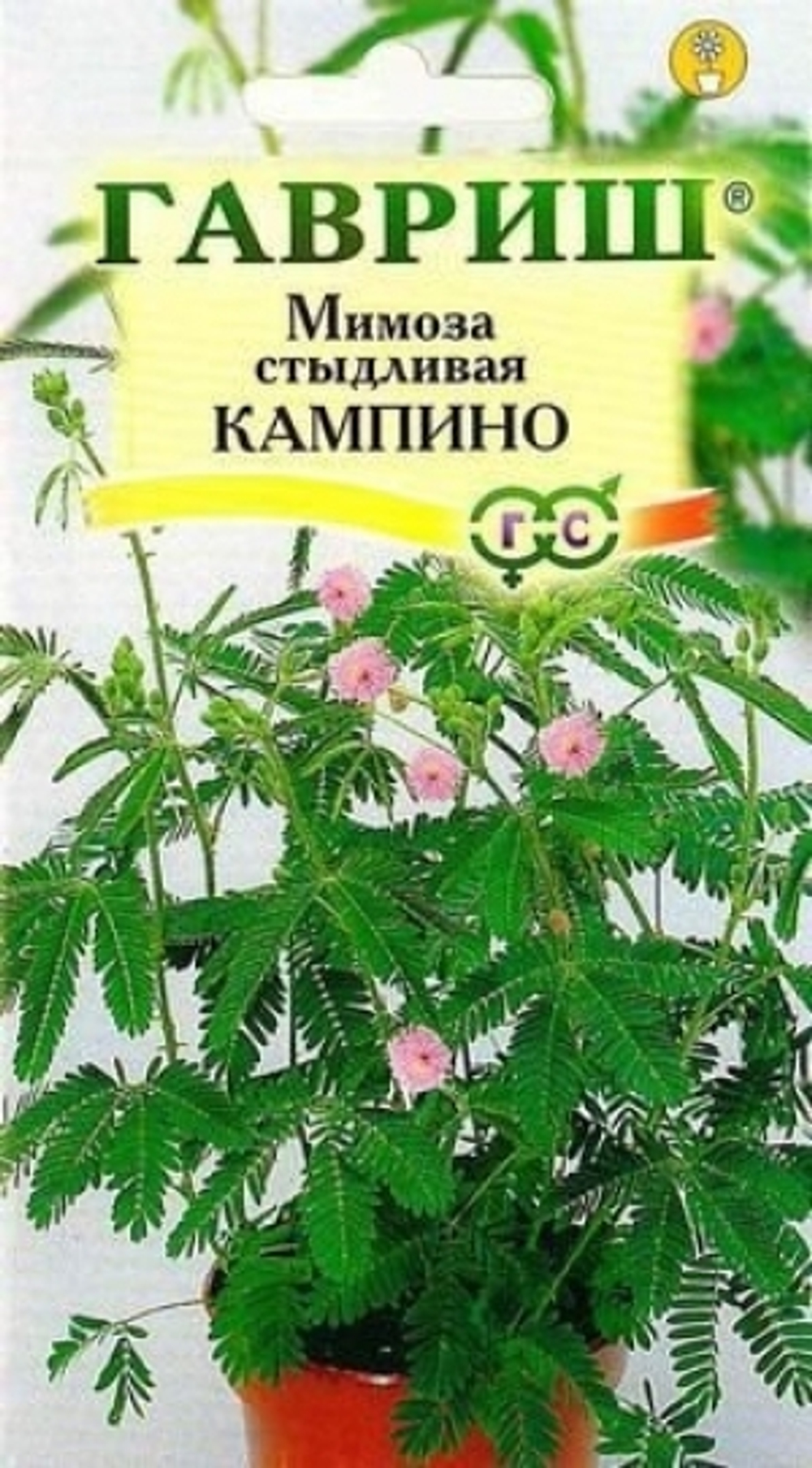 Цв. Мимоза стыдливая Кампина 0,1г (Гавриш)