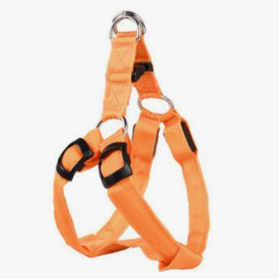 Шлейка с led подсветкой l (ш.40-60 гр.70-95) rich breed ш-33 оранжевый