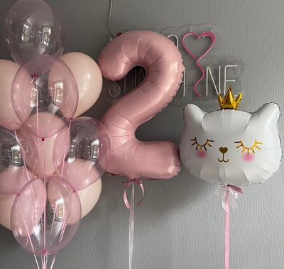 Набор шаров Кошка с короной