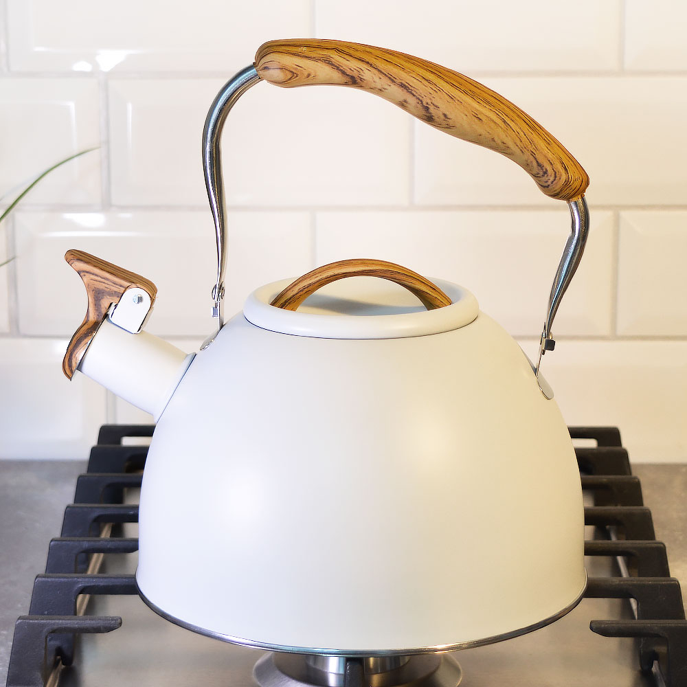 Чайник 2,5л нерж со свистком, индукция, "Daniks" GS-04415B