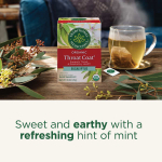 Traditional Medicinals, Organic Throat Coat, эвкалипт, без кофеина, 16 чайных пакетиков в упаковке, 28 г (0,99 унции)