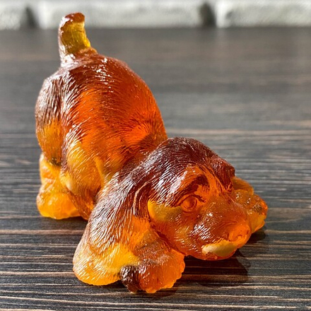 Гончая щенок